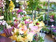 「うじべフラワー」　（香川県高松市）の花屋店舗写真2